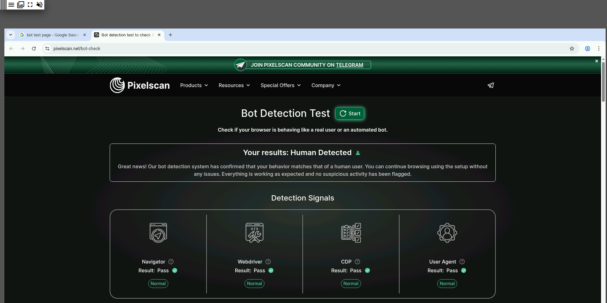 Xpra Web 控制面板里可见的浏览器控制界面，以及作者用于自测的 Bot 检测页结果